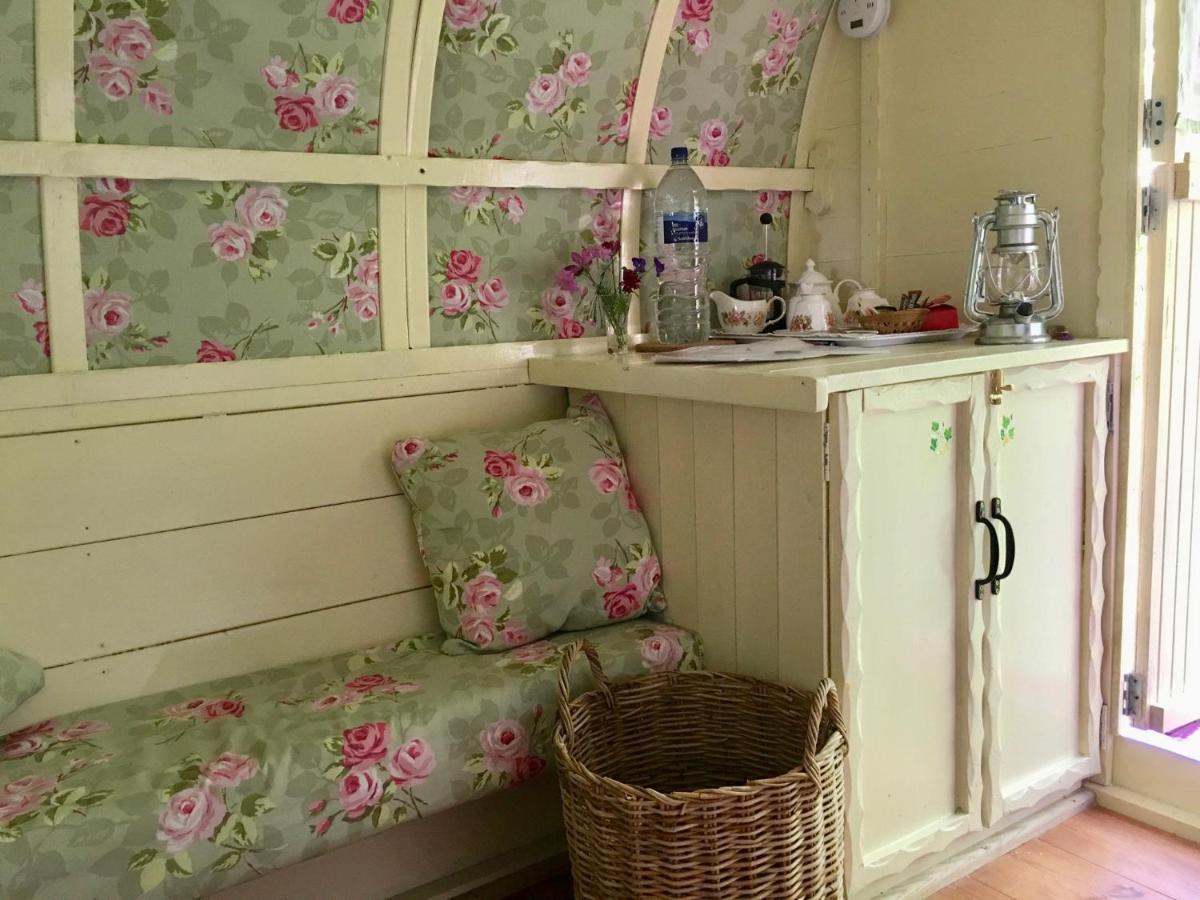 Fernwood Bed & Breakfast ริงวูด ภายนอก รูปภาพ